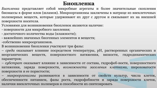 Смоленская Науч основы 4_1