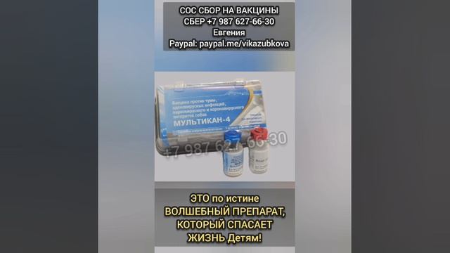 Спасите от гибели ДЕТИШЕК в ОТЛОВЕ Башкирии! ❗СБОР на ЗАКУПКУ ВАКЦИН для них!
Дети