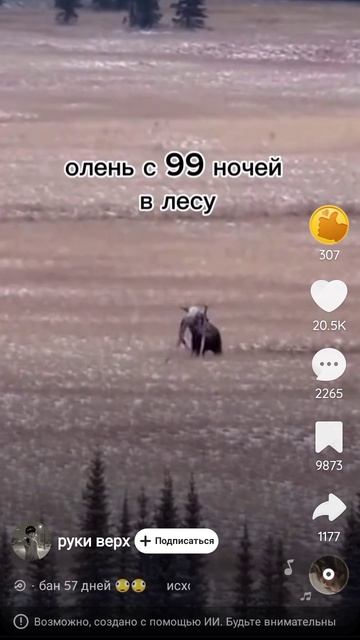 олень из 99 ночей в лесу