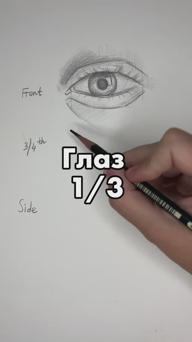 Глаз 1/3