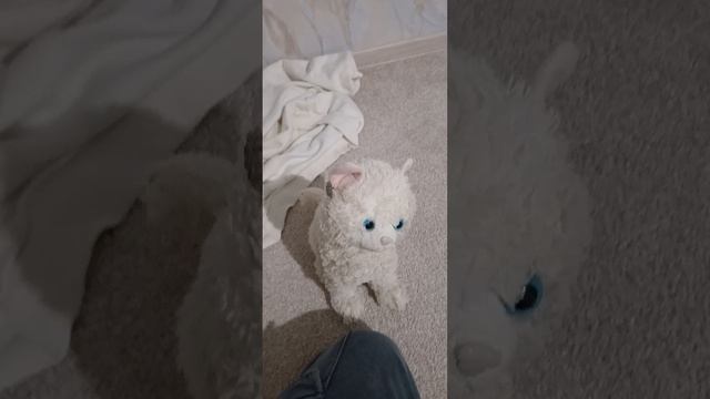 1сентября 1 класс