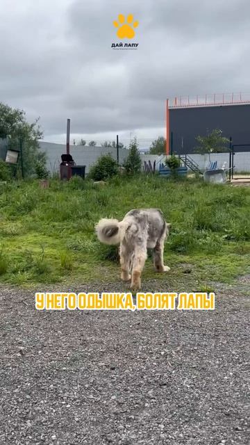 Старичок Беня и его путь к спокойстивию!