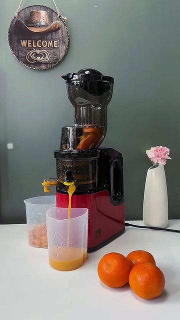 Артикул Я.Маркет 👉 YM10343900 (не забудь при поиске YM) #находкидлядома #соковыжималка #находкиозон