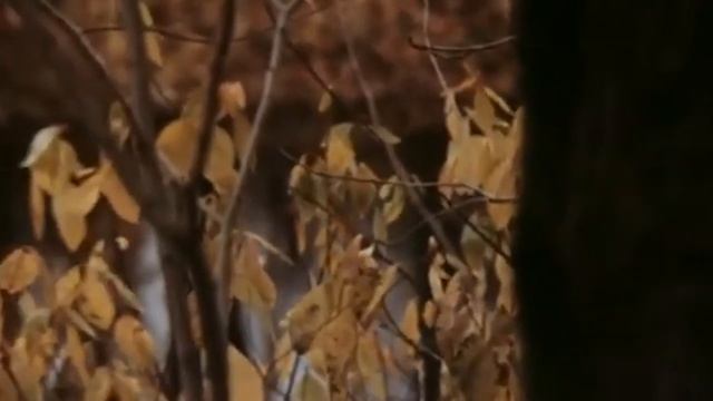 Федор Тютчев - Есть в осени первоначальной…