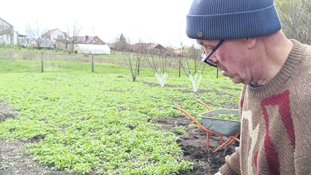 Дела огородные.