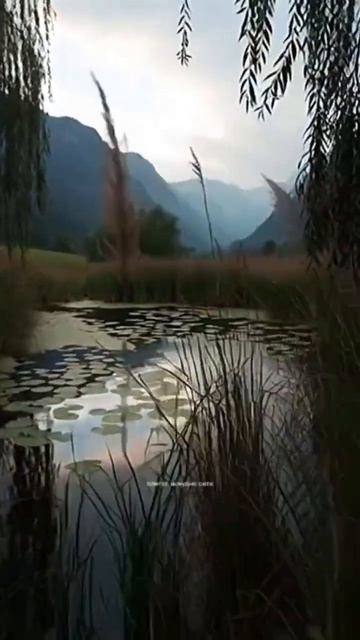 Отрывак из романа. #еленамалинина