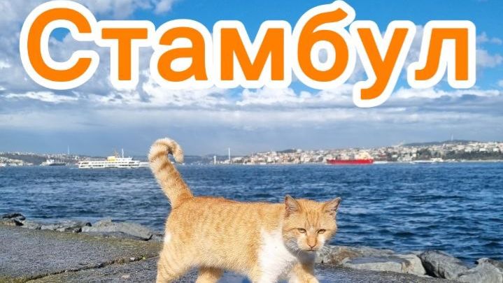 video_2026-04-21_20-32-48