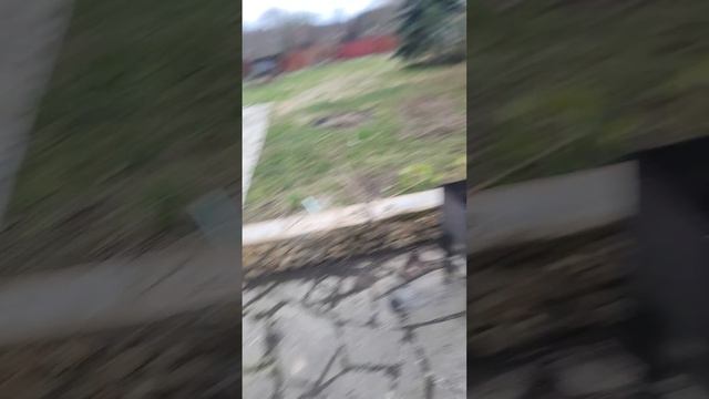 Дачный ответ видео