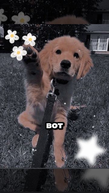 Заходите на мои ВК канал(я не могу дать вам ссылку)