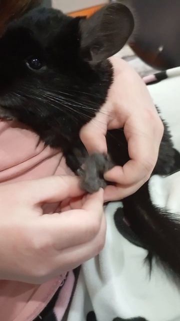 6-ЫЙ КЛИП АГАТЫ