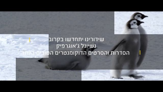 Приостановка вещания (National Geographic Israel HD (Израиль), 20.04.2026)