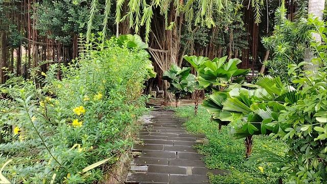 Можно погулять по дорожкам!