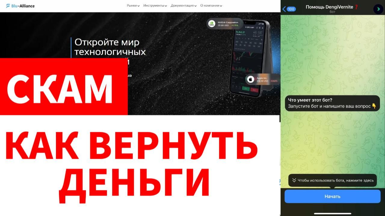 Blu-Alliance (blu-alliance.com, private.blu-alliance.live) обзор, отзывы. Развод?