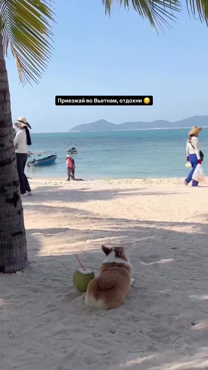 Когда приедешь?)