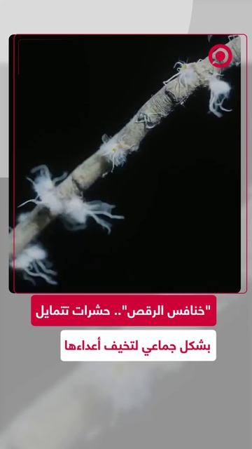 69e72e5a42360463206370ba