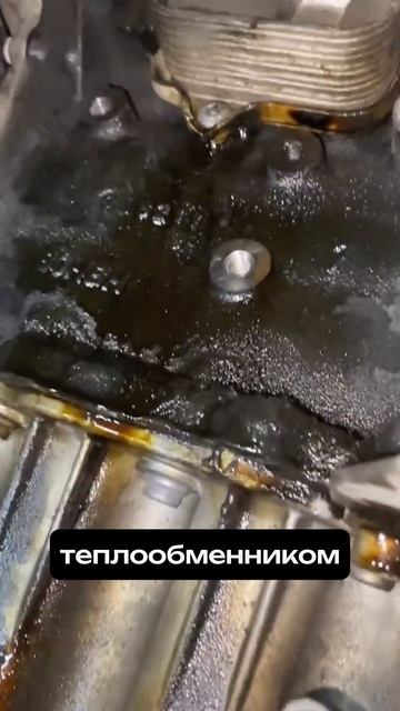 ВАЛИТ ЦВЕТНОЙ ДЫМ? ВЫ УЖЕ ПОПАЛИ 