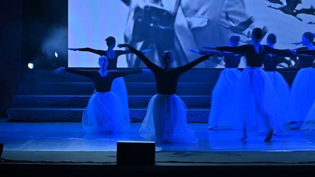 Фестиваль Генетической доблести код