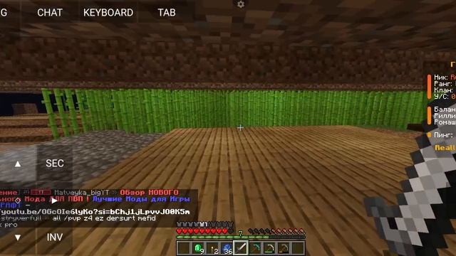 Играю в Майн (2 часть)