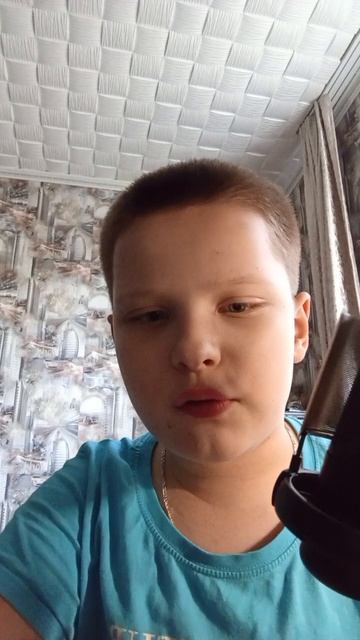 купил себе конденсаторный микрофон.