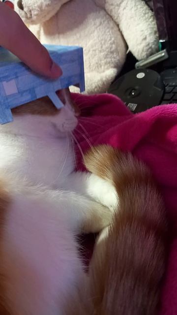 шлем из майна