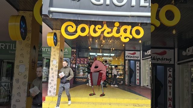 Covrigo Trili Frili Hedgehog Meme