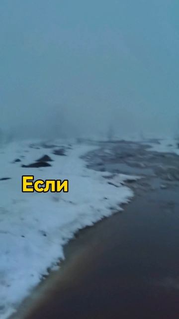 Зона комфорта — это не всегда про комфорт

Иногда это просто
привычная точка,
где ничего не меняется