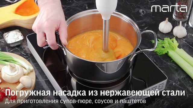 Погружной блендер MARTA MT-KP1599D