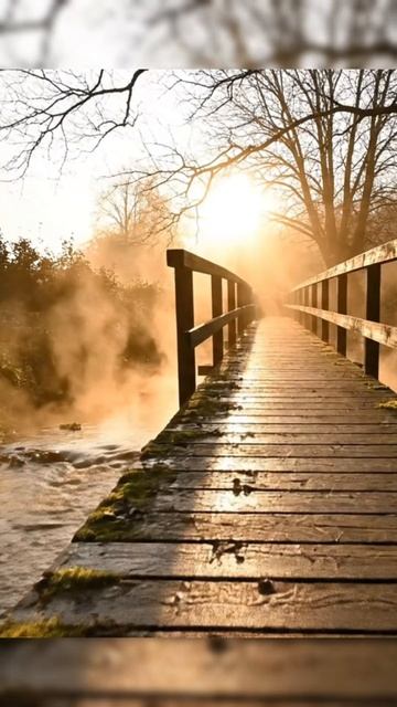 5b44eeb7330e47a923b0c489276571f4