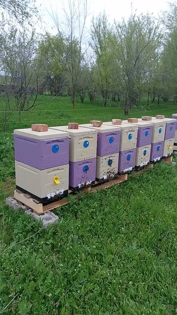 Всех с Радоницей