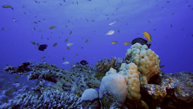 Красивая природа 4к -Most Beautiful 4K Video In The World ｜ Dolby Vision 8K HDR 120FPS (8K ⧸ 4K TV)