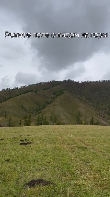 copy_C0A075CB-6E7A-4B27-947C-CA104A2C2189