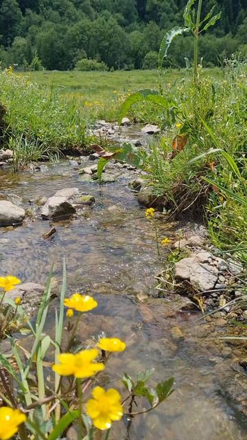 Выходные в Архызе с двумя детьми.mp4