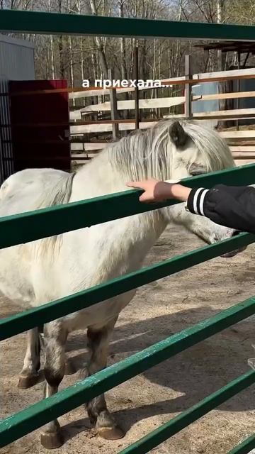 Она даже купальник с собой взяла