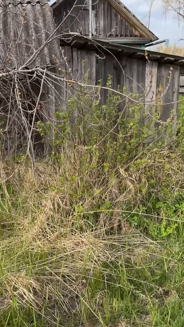 Afc71bb3965c102fb52b450e6bd74cdc