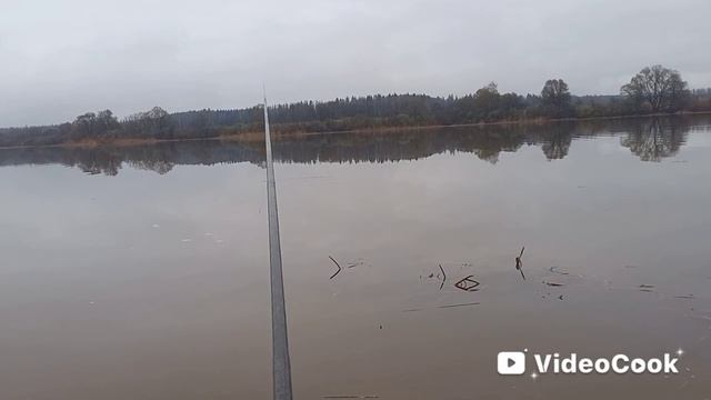 Река Вейна. Утро, апрель 2026 г.