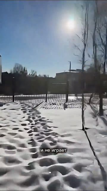 Капель-мальчишка #еленамалинина