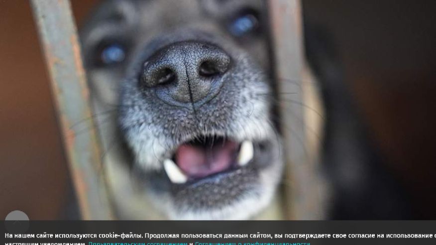 A1fbc6889c7b7ccd319ac8441fc95902