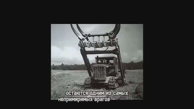 Камнесбор на тракторе ДТ-54!