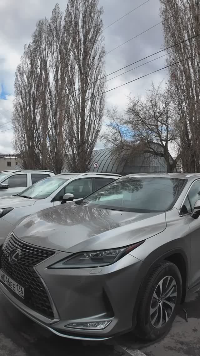 Lexus RX 2020 серый