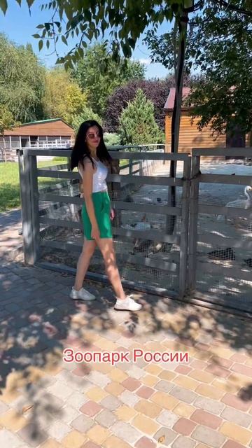 Любите зоопарки? #рек #зоопарк