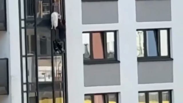Жители дома в Петербурге, не дожидаясь МЧС и полиции, спасли собаку с балкона. Она просидела там...
