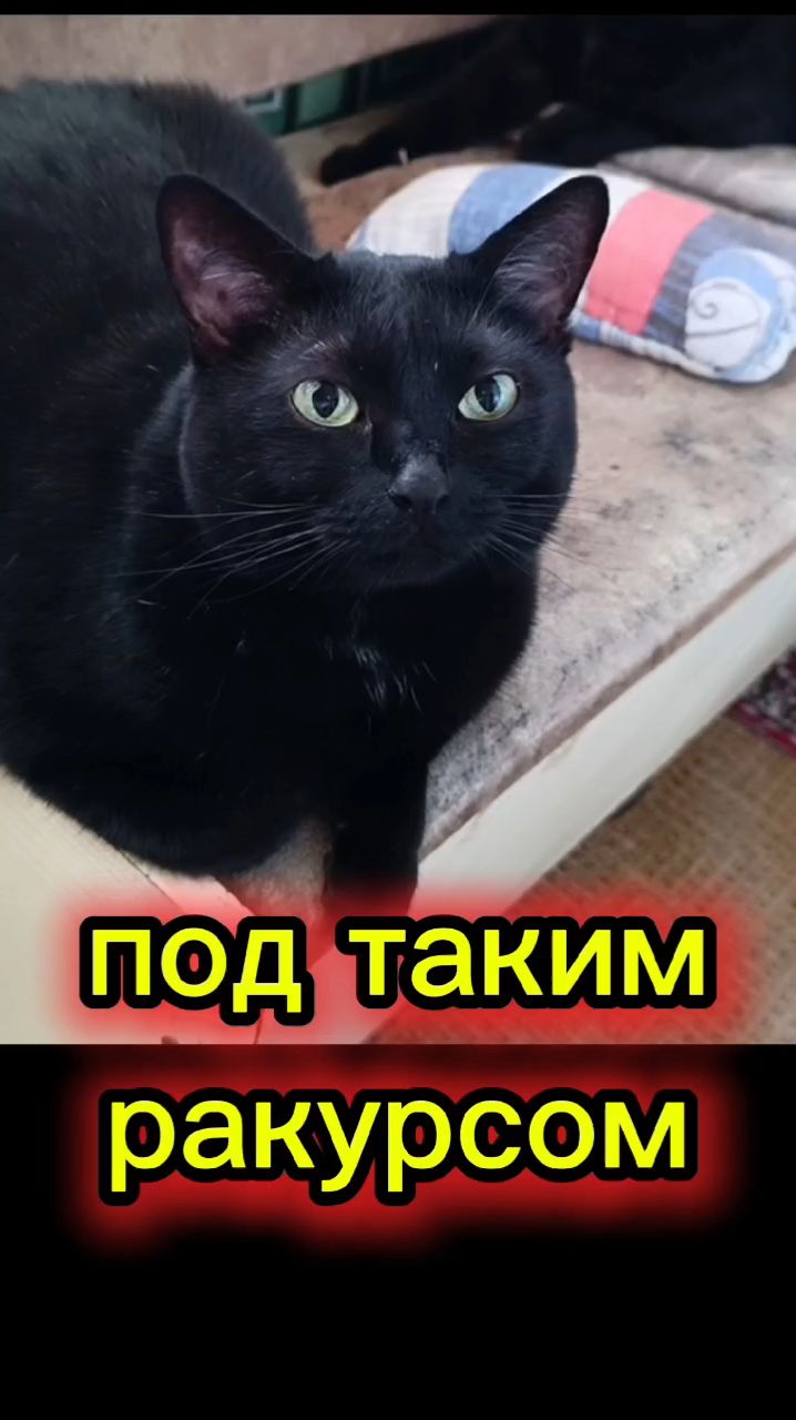 Сними меня под таким ракурсом 😏