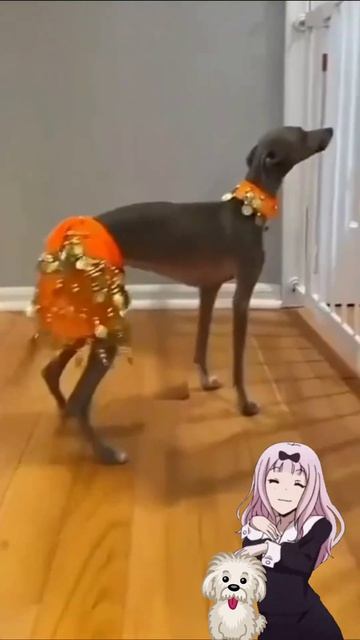 Собачий вальс