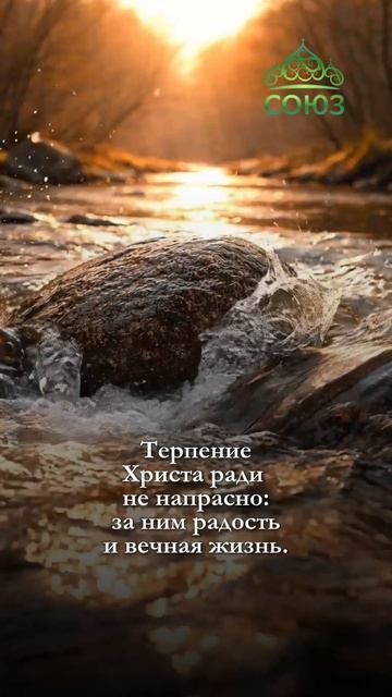 Утренние поучения о терпении