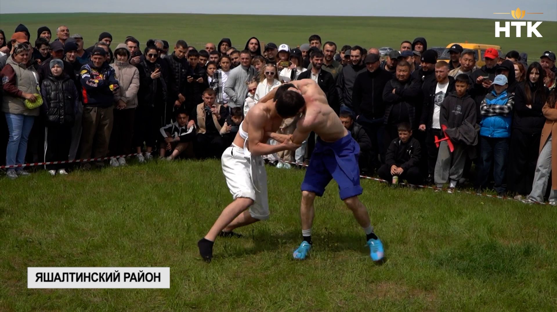 Фестиваль тюльпанов в Яшалтинском районе