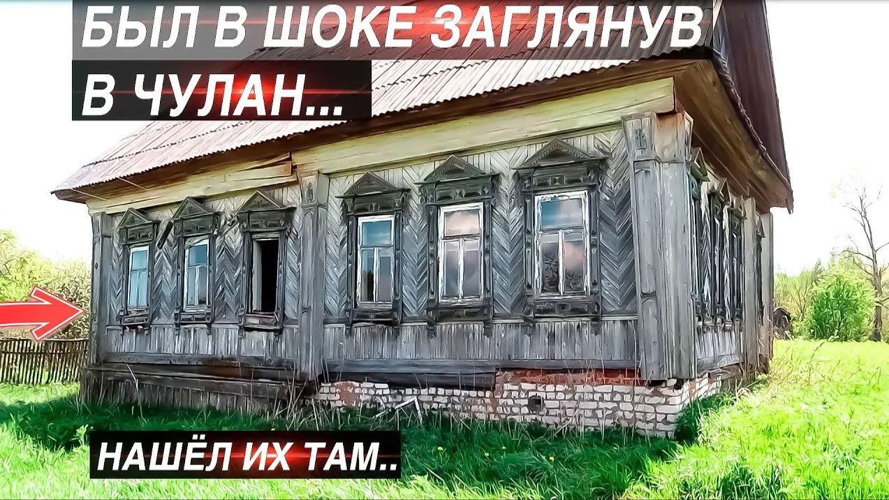 ОНИ БЫЛИ В ЧУЛАНЕ Заброшенного дома.Одинокий голубь сторожит дом в заброшенной деревне Максимовка