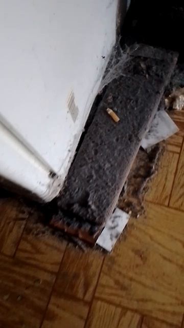 Долгожители коммуналок это люди, которым ничего не надо. Помогите сбежать! Сб 5336690144598952