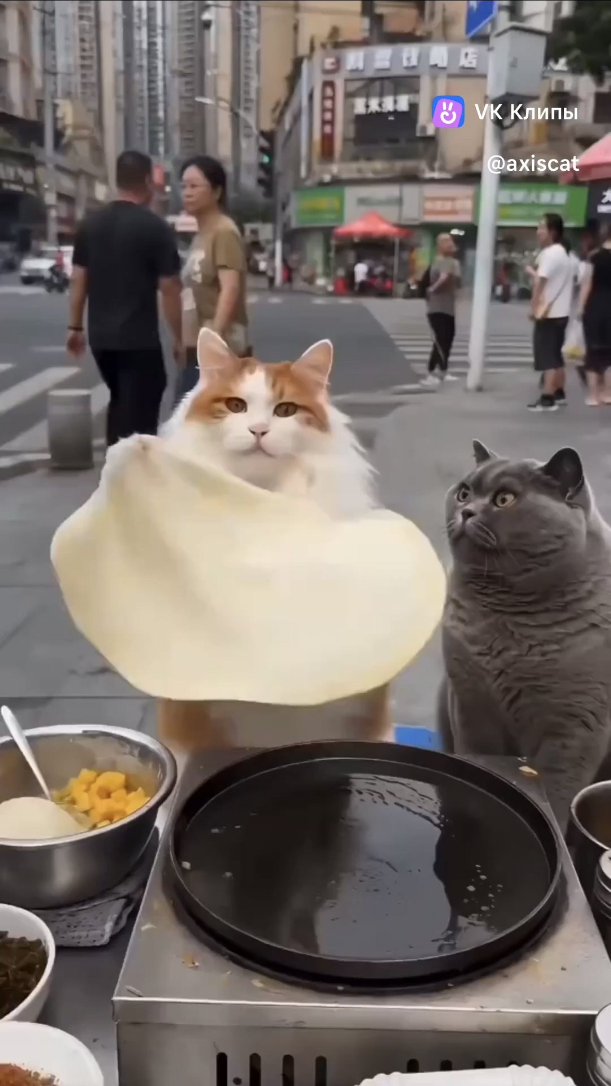 Котостритфуд*...👇