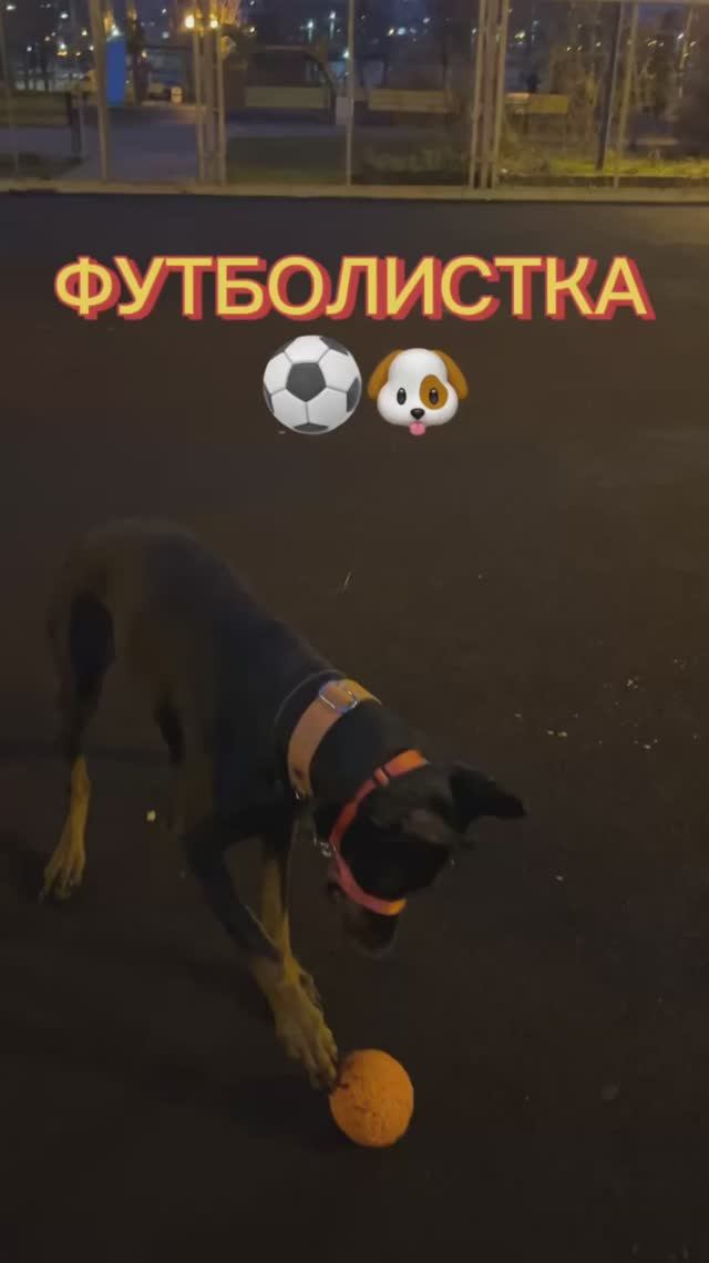 ФУТБОЛИСТКА⚽️🐶