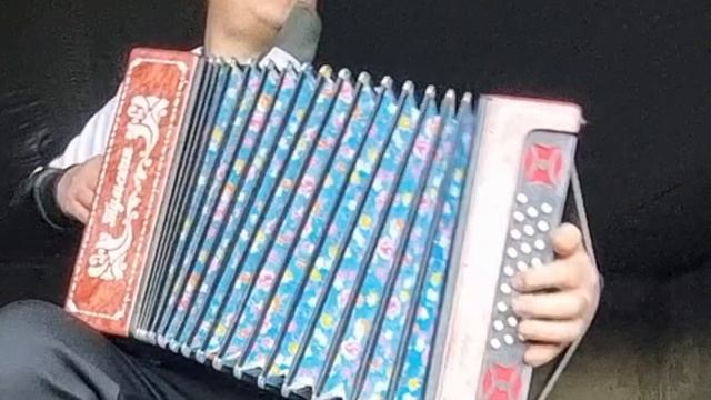 Одинокая гармонь.